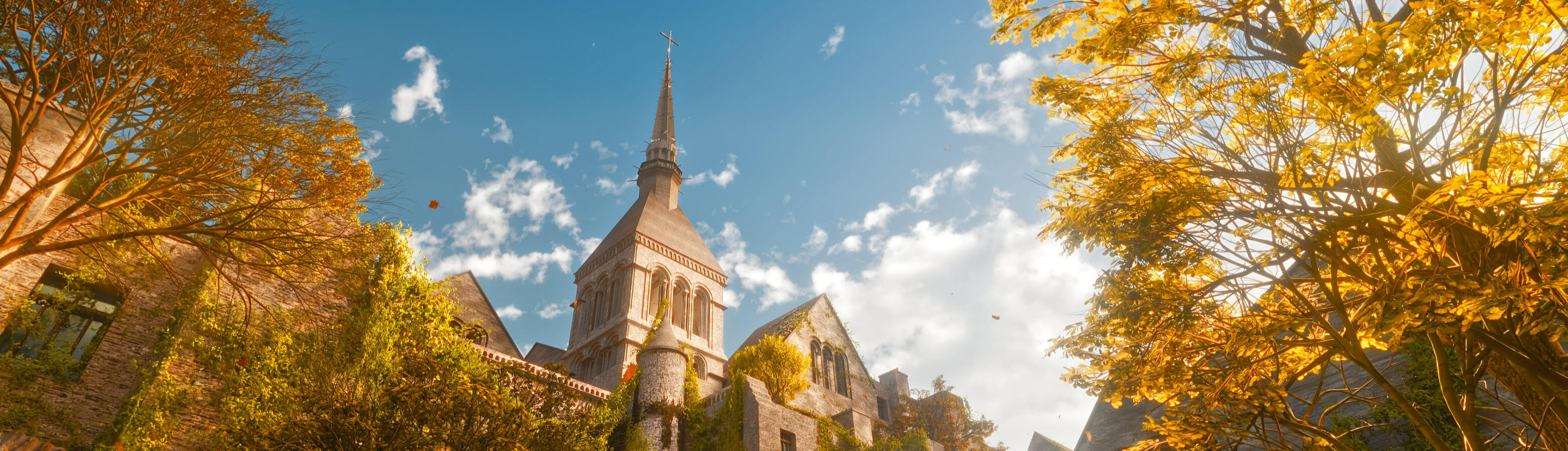 In Search of The Truth